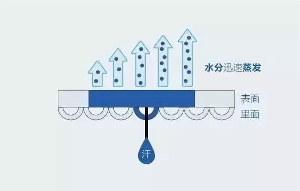 定型機,涂層機,地毯機,地毯背膠機,靜電植絨機